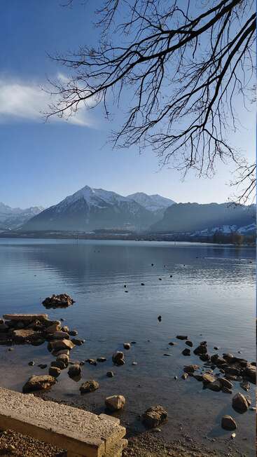 Un lago tranquilo refleja las montañas nevadas bajo un cielo azul y despejado. En primer plano se ven unas rocas y un banco, y las ramas desnudas enmarcan la tranquila escena.