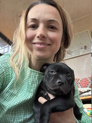 Uma mulher de cabelos castanhos claros e camisa xadrez verde sorri enquanto segura um pequeno filhote de cachorro preto. Elas parecem estar dentro de casa, desfrutando de um momento aconchegante.