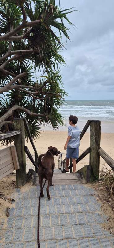 Ein Junge und ein brauner Hund gehen eine Holztreppe hinunter zu einem Sandstrand, die Wellen des Ozeans rollen unter einem wolkenverhangenen Himmel heran, ein tropischer Baum steht über ihnen. Ein friedlicher Moment.