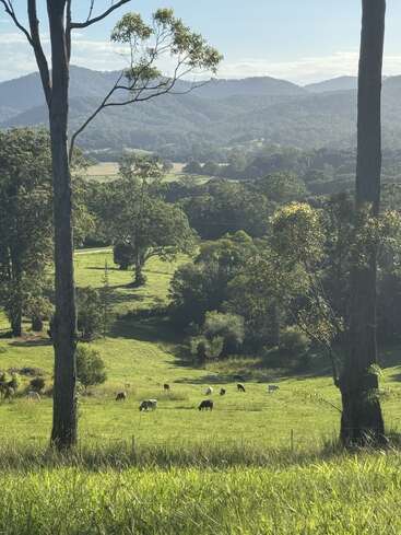 A peaceful green countryside scene with cows grazing in a sunlit pasture, surrounded by trees, rolling hills, and distant mountains under a bright blue sky.