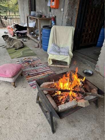 A cozy outdoor porch features a blazing fire pit, colorful rugs, relaxed dogs resting, various chairs, a blue barrel, and a rustic wooden shelving with assorted items.