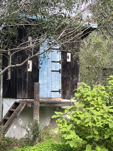 Ein rustikaler Holzschuppen mit einer verwitterten blauen Tür steht erhöht auf Stelzen, umgeben von üppigem Grün und überhängenden Ästen, die eine ruhige Szene schaffen.