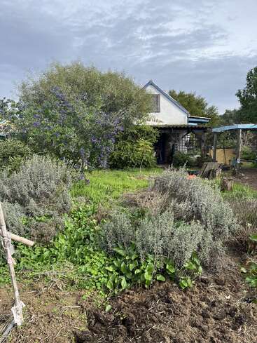 Ein rustikales weißes Haus ist umgeben von üppigem Grün, einem blühenden Baum, Gartenbeeten, Sträuchern und einem wolkenverhangenen Himmel, der eine friedliche, ländliche Atmosphäre schafft.