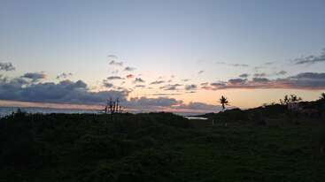 Esta imagem mostra um pôr do sol sereno no oceano, com nuvens espetaculares. A vegetação verde cobre o primeiro plano, e uma única palmeira se destaca em silhueta contra o horizonte resplandecente.