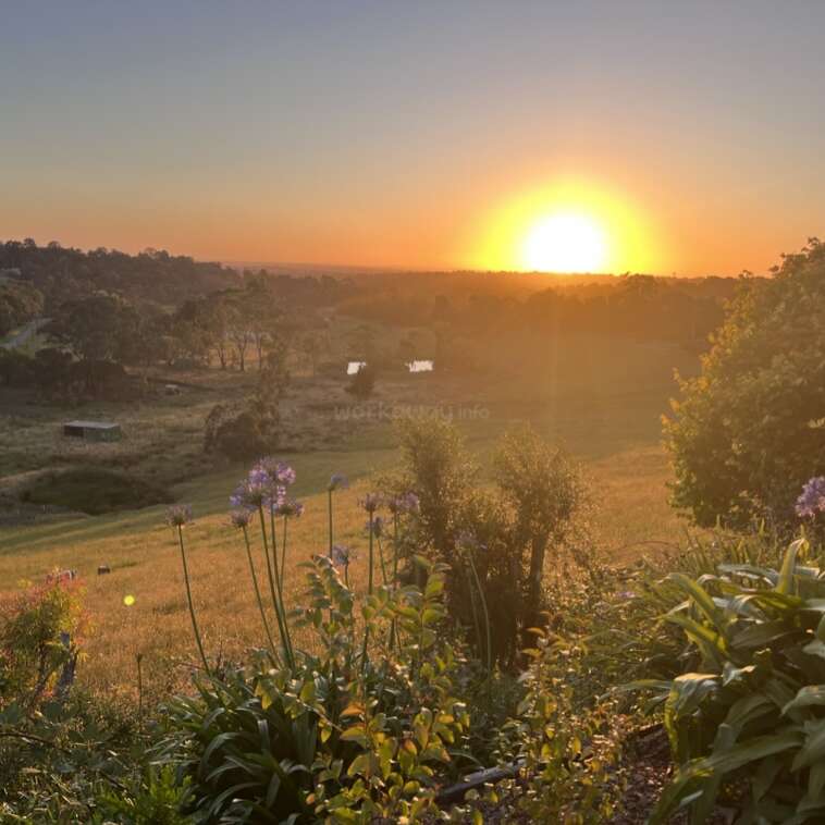 Das Bild zeigt einen ruhigen Sonnenuntergang über einer ländlichen Landschaft mit einem Blumenfeld und Bäumen, mit einem kleinen Haus in der Ferne.