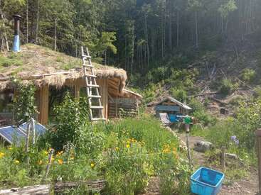 Une cabane rustique au toit de chaume se trouve dans un jardin luxuriant avec des fleurs et des panneaux solaires, nichée sur une colline boisée, évoquant une vie paisible et hors réseau.