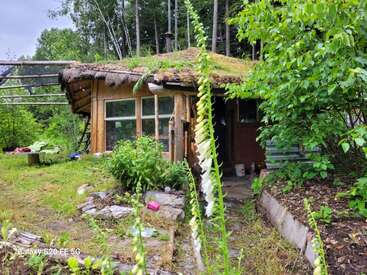 Una cabaña rústica de madera con un tejado verde cubierto de musgo se alza entre una exuberante vegetación y árboles, rodeada de plantas silvestres, flores y un sendero cubierto de maleza.
