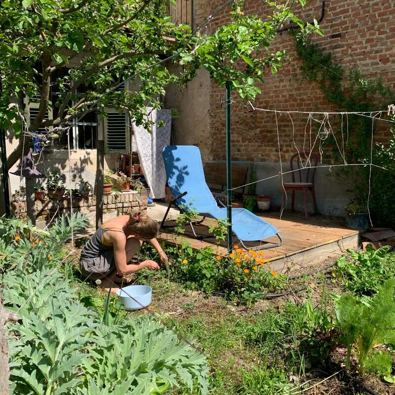 Una mujer cuida de un jardín frente a un edificio de ladrillo, rodeada de exuberante vegetación y flores vibrantes, con una silla azul cerca.