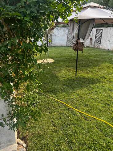 A lush green garden features a gazebo with curtains tied up, leafy vines, a yellow hose on the grass, and stone pavers leading towards the structure.