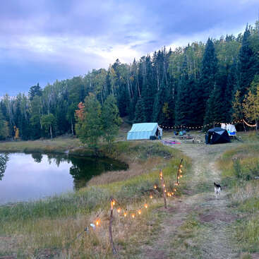 A peaceful campsite by a calm lake, surrounded by pine trees. Tents and string lights create a cozy atmosphere. A dog walks along the grassy path.
