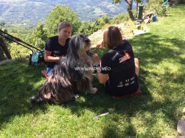 L'image montre deux femmes et un chien assis sur l'herbe, avec une tondeuse à gazon et des arbres en arrière-plan. Les femmes portent des t-shirts noirs.