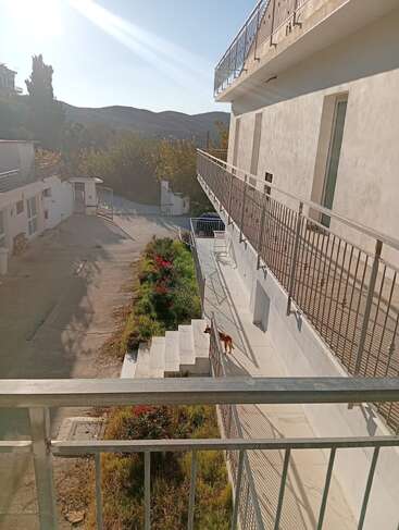 The image shows a sunlit courtyard with a white building, metal railings, green plants, a small brown dog near steps, and distant hills under a clear sky.