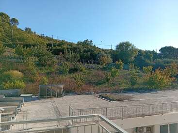 The image shows a hillside with scattered trees and bushes, a concrete area in the foreground, metal railings, and clear blue sky on a sunny day.