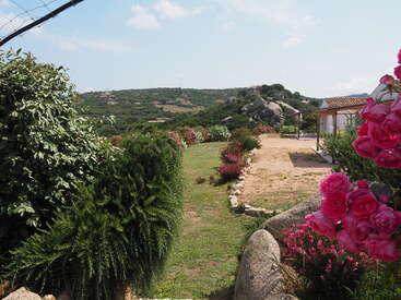 Um caminho de jardim vibrante, ladeado por arbustos exuberantes e flores cor-de-rosa desabrochando, leva a uma casa, situada entre colinas ondulantes e um céu azul brilhante.