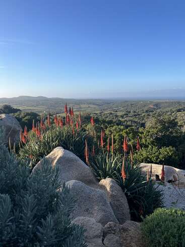 A imagem mostra uma paisagem cênica com terreno rochoso, vegetação verde exuberante e flores vermelhas altas em primeiro plano, sob um céu azul claro e brilhante.