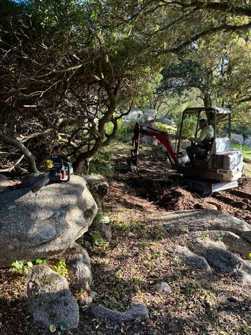 Uma pessoa opera uma pequena escavadeira em uma área arborizada e rochosa. A luz do sol passa por entre as árvores. Uma motosserra está apoiada em uma pedra próxima.