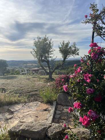 Uma cena serena de jardim com rosas florescendo, caminho rústico de pedra, oliveiras, colinas distantes, cadeiras brancas ao ar livre e um céu dramático e suavemente nublado ao pôr do sol.
