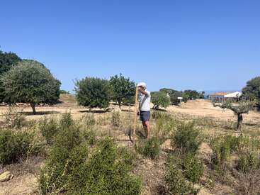Uma pessoa está em uma paisagem ensolarada e semiárida com arbustos e árvores espalhados, segurando uma vara de madeira alta. Você pode ver o céu azul e prédios distantes.