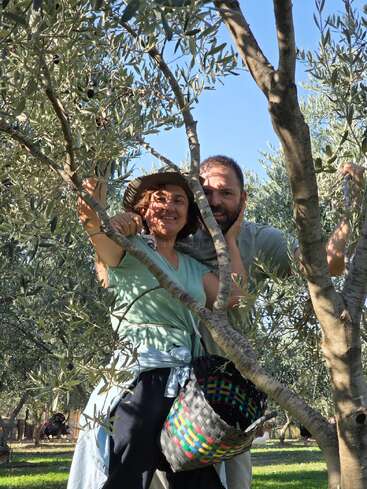 A smiling woman and a man stand among olive trees on a sunny day, holding a basket, enjoying nature and possibly harvesting olives together.