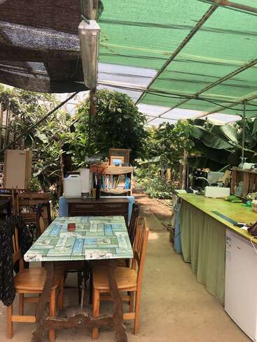 Cette image montre une cuisine extérieure et un coin repas confortables, entourés d'une végétation luxuriante, avec un toit couvert, des meubles en bois, des livres et des appareils électroménagers. Atmosphère paisible.