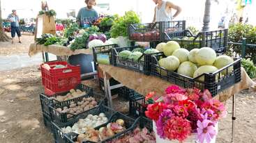 Un étal de marché en plein air dynamique présente des produits frais, notamment des melons, des oignons, des pommes de terre, des légumes verts et des fleurs colorées, tandis que deux vendeurs discutent et que des clients se promènent à proximité.