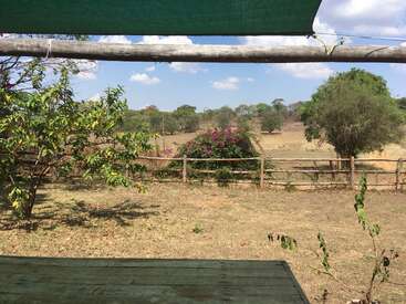 The image depicts a serene outdoor scene, featuring a wooden fence, a vibrant bush with pink flowers, and a rustic wooden table, set against a backdrop of trees and a blue sky.