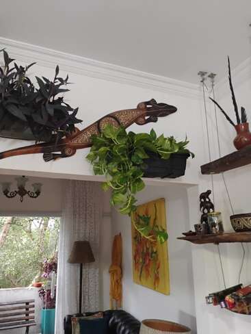 Un coin salon confortable avec des plantes suspendues, des étagères en bois, des décorations murales tribales représentant des lézards, des peintures aux couleurs vives et une grande fenêtre laissant entrer la lumière naturelle.