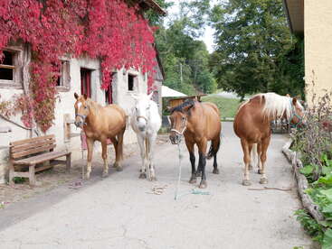 Quatro cavalos estão em um pátio rústico entre dois edifícios, um deles coberto por videiras vermelhas. Árvores e vegetação cercam a cena pacífica do campo.