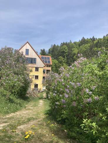 Uma casa amarela com painéis solares ergue-se entre arbustos de lilases em flor e vegetação. Um caminho de terra leva até a casa, cercada por flores silvestres e pela floresta.