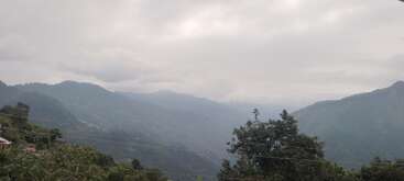The image shows misty mountains beneath a cloudy sky, with lush green trees in the foreground. A peaceful, serene landscape with soft, diffused morning light.