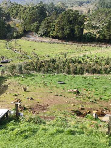 Uma paisagem verde exuberante com campos ondulados, pedras espalhadas e alguns arbustos pequenos, cercada por uma floresta densa, um caminho sinuoso e um ambiente tranquilo e natural.