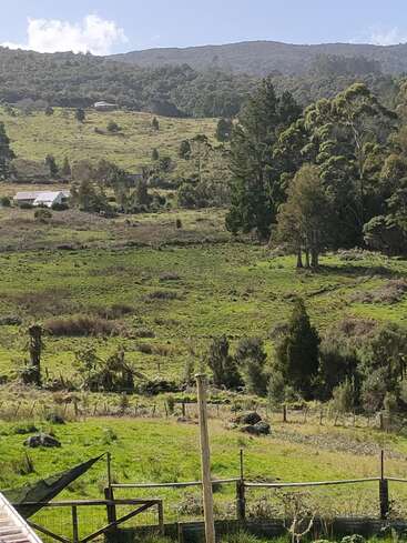 Colinas verdes onduladas com árvores espalhadas, trechos de floresta densa e algumas casas pequenas. Uma cerca de madeira atravessa o primeiro plano sob um céu claro e brilhante.