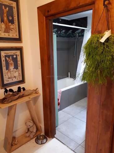 Um canto aconchegante com duas obras de arte de gatos egípcios, uma pequena prateleira de madeira, um urso de pelúcia, uma tigela para animais de estimação, uma planta pendurada e uma vista para um banheiro limpo.