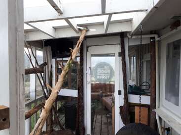 Esta imagem mostra uma área semelhante a uma varanda fechada com galhos de madeira, um pneu pendurado, paredes de tela e uma porta com "FOOD TRUCK" escrito no vidro.