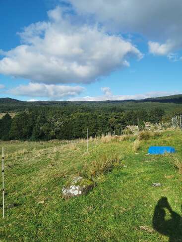The image shows a grassy field with sparse vegetation, a blue sky filled with clouds, distant forested hills, and a blue object on the ground. A shadow appears.
