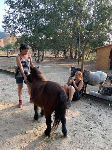 Deux femmes interagissent avec des chevaux miniatures dans un espace extérieur clôturé. Une femme se tient debout en tenant un cheval, tandis que l'autre est assise et prend une photo. Arrière-plan d'arbres.