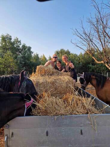 Trois personnes souriantes posent derrière un grand tas de foin sur une charrette, entourées de quatre chevaux en train de manger, avec des arbres verts et un ciel bleu clair en arrière-plan.
