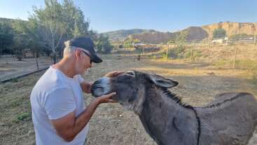 A man in a white shirt and cap gently pets a donkey outdoors, smiling warmly. The scene is peaceful, with trees and hills in the background.