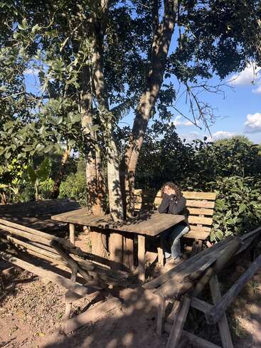 Eine Frau sitzt allein an einem rustikalen Holztisch unter einem großen Baum, umgeben von Holzbänken, Sonnenlicht und üppigem grünen Laub. Friedliche Atmosphäre.