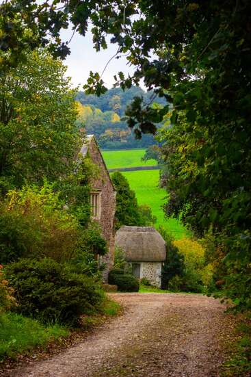 Ein charmantes Landhaus mit Strohdach schmiegt sich inmitten von üppigem Grün, Bäumen und Büschen an einen friedlichen Feldweg, hinter dem sich grüne Felder erstrecken.