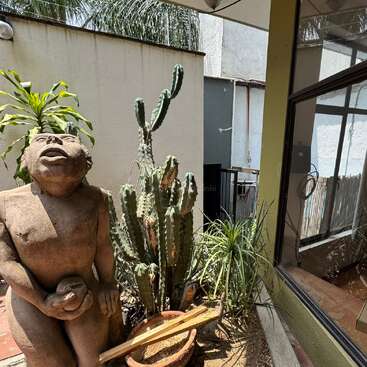 Das Bild zeigt eine ruhige Hofszene mit der Statue einer Person, einem Kaktus und einem Fenster, umgeben von üppigem Grün und einer beigen Wand.