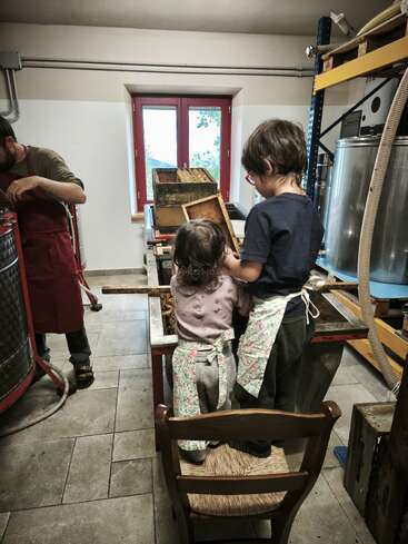 Two children wearing aprons stand on a chair, helping an adult with honey extraction in a cozy workshop. Sunlight streams through a window, creating a warm atmosphere.