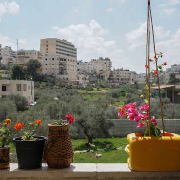Great Opportunity To Experience Palestinian Culture And Explore The West Bank Bethlehem