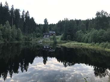 A peaceful cabin stands by a calm lake, surrounded by dense green forest. Trees and sky reflect beautifully on the water, creating a serene, tranquil atmosphere.
