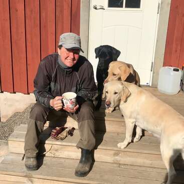 A person sits on wooden steps, smiling, holding a mug. Three Labrador dogs—one black, two yellow—gather closely. Sunlight shines brightly on everyone. Outdoor setting.