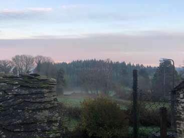 A serene, misty countryside scene at dawn. Trees and bushes surround a grassy field. An old stone wall and wire fence are visible in the foreground.