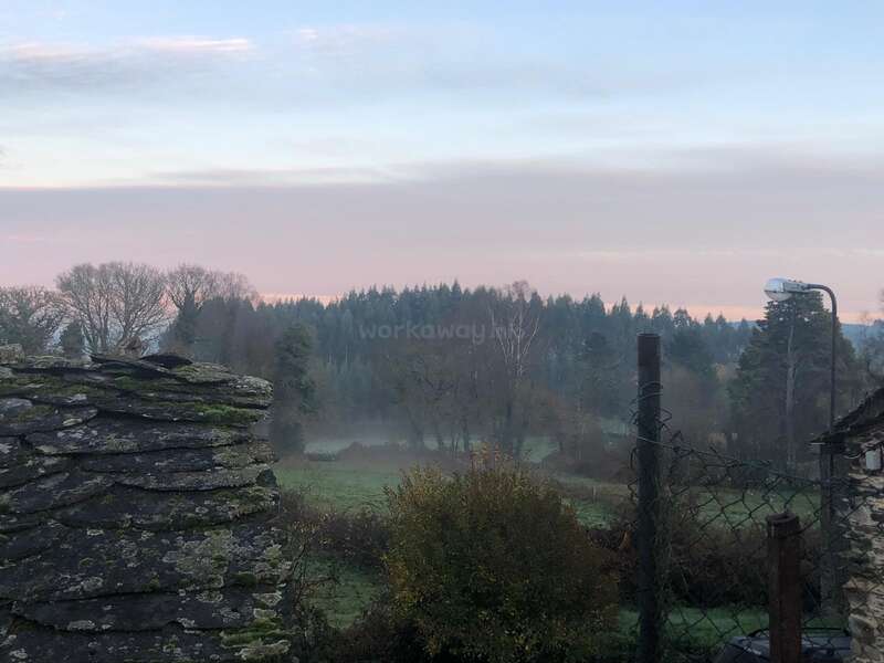A serene, misty countryside scene at dawn. Trees and bushes surround a grassy field. An old stone wall and wire fence are visible in the foreground.