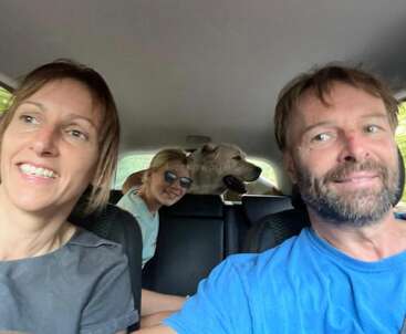 Um feliz passeio de carro em família com dois adultos sorridentes na frente, uma criança alegre usando óculos escuros e um cachorro grande no banco de trás.