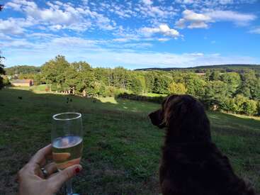 Uma pessoa segura uma taça de vinho espumante, sentada em uma colina verde com um cachorro marrom, apreciando uma paisagem cênica de árvores e céu azul.