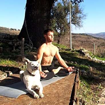 A man sits on a yoga mat outside, shirtless, with his dog beside him, practicing meditation in a serene outdoor setting on a sunny day.